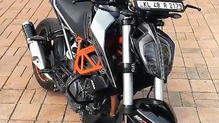 Duck250