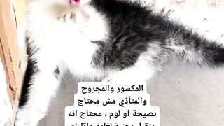 الحنان والرحمة