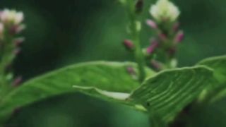 Beautiful nature