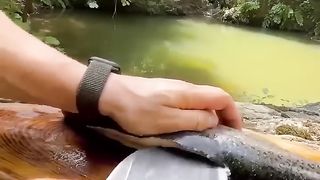 food in jungle