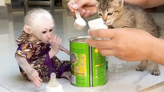 Poor momo.