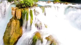 Discover the Nature