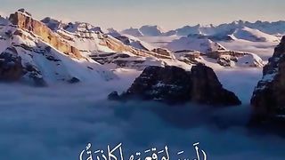الواقعة
