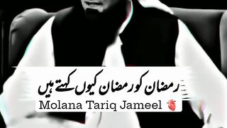 Saqi video