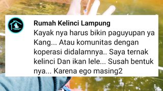 Bagaimana kalau kita buat KOMUNITAS tau PAGUYUBAN budidaya ikan lele❓