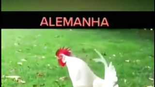 Funny video | Funny memes | lough