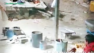 رعب.. نمر.. كلب.. هجوم.. بشر ~  https://k.kwai.com/p/PSBfJCVV