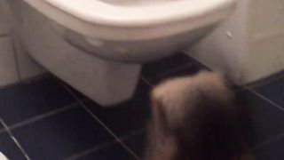 VIDEO_CHAT_DRÔLE_AU_TOILETTES_!(1080p60).