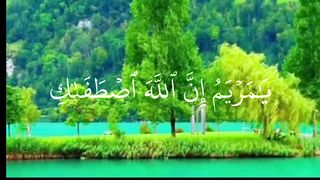 محمد الفقيه  أجمل تلاوات