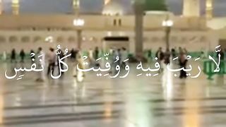 محمد الفقيه تلاوات خاشعة