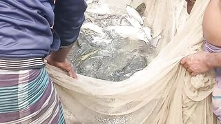 গ্রাম বাংলার মাছ