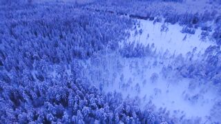 View in Winter from the sky