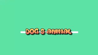 Top 10 Funny Dogs