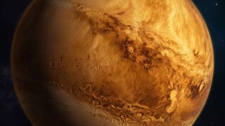 The planet Venus