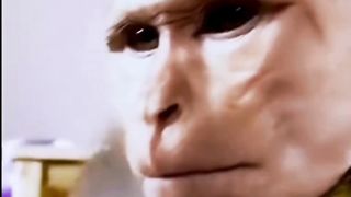 "ضحك متواصل: فيديوهات مضحكة تجعلك تضحك حتى الموت!"