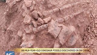 jurassic period amazing discovery....