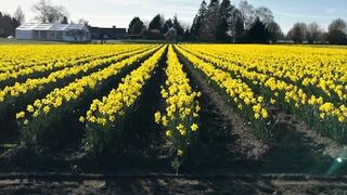 Sun and warm temperatures for first day of spring | KING 5 Weather