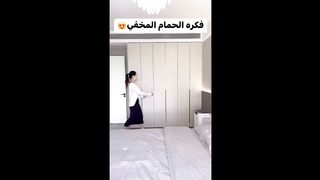 Hidden Bathroom in the Living Room!