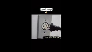 The Smart Laugh: Amusing Moments of Human Intelligence