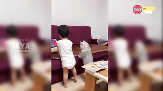 cute and adorable when kittens sulk