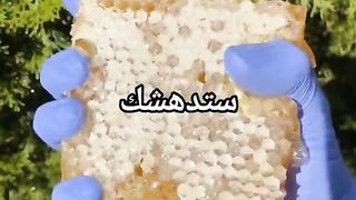 حقائق عشوائيه منوعات تيك توك
