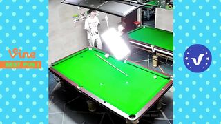 funny videos