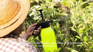Challenges and limitations of natural insecticides