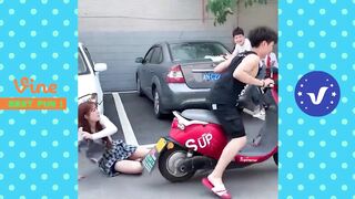 funny videos