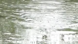 Ultimate Guide to Bass Fishing Techniques