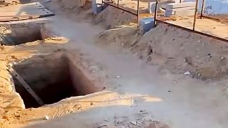 أبو فله