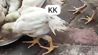 Angry mood