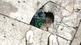 Must watch