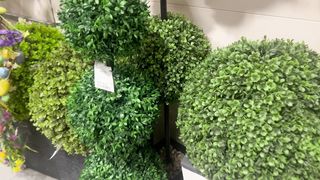 artificial plant