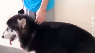 #funny