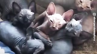 #funny