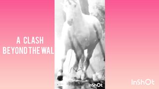 A Clash Beyond The Wall