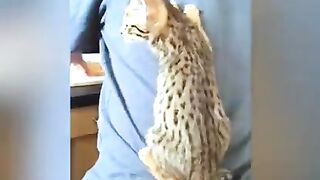 #funny