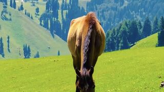 NICE  AND THRILLING EXPEDITION TO AFAIRY LAND