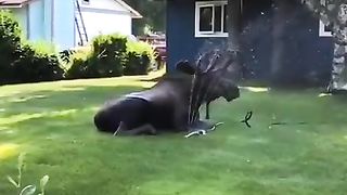 #funny