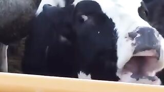 #funny
