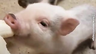 #funny