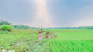 nature of field