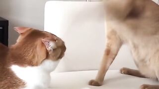 Reaction after action