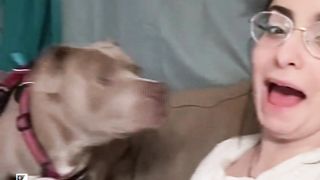 Respect Video #short #shortvideo #respect #viraltiktok #reels #viral #fypシ #fyp #trending #trend