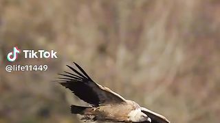 Que pensez-vous de ces phénomènes fascinants