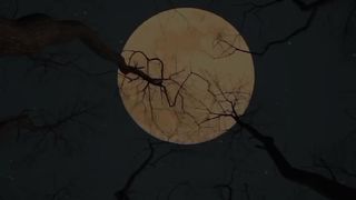 Moon is beautiful isn't it ? ❤️