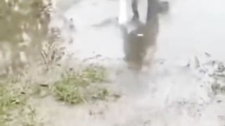 Приколи.
