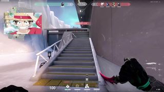 insane viper clucth