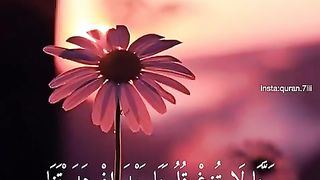 (ربنا لاتزغ قلوبنا بعد اذ هديتنا)