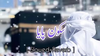 Sukoon paya hai bekasi ne | Sukoon paya naat | slowed and reverb